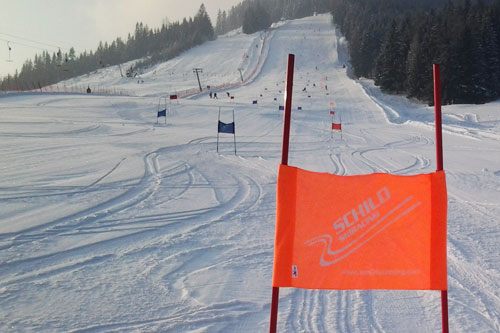 Schild Skiracing News